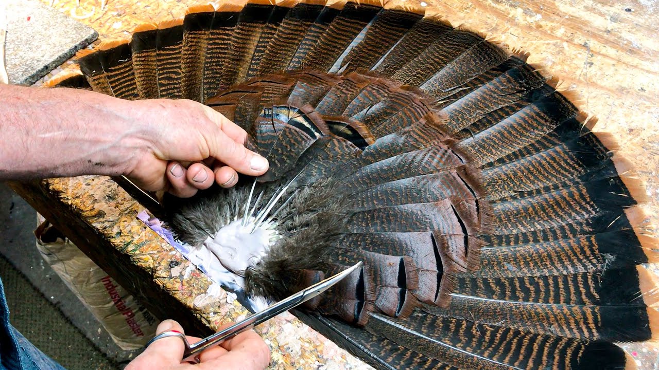 how-to-make-a-turkey-tail-plaque-easy-diy-youtube
