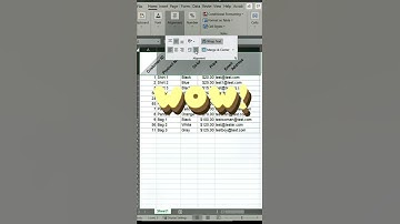 Excel tip to align text options