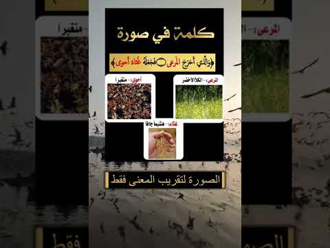 القرآن كلمة فى صورة 15 و ال ذ ي أ خ ر ج ال م ر ع ى ف ج ع ل ه غ ث اء أ ح و ى 