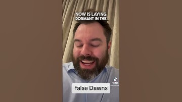 False Dawns. #ocdrecovery #ocdawareness