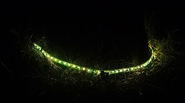 Stefano Zucchini en Kay Churcher - Boservaring #ArtScience