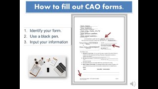 Court Assistance Office Forms Video