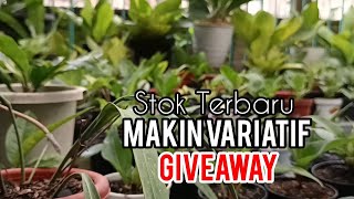 STOK TERBARU MAKIN BERVARIASI ✅LEBIH BERWARNA ⁉️