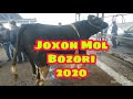 Andijon Johon Mol Bozori Buqa Va Buqachalar 2020  5 yanvar Narxlari | Андижон Жахон мол бозори