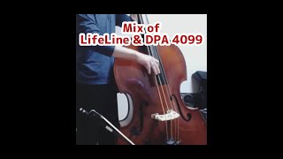 Comparison Of Piezo Pickup & Microphone With Gut Strings Bass ガット弦を張ったウッドベース録音テスト 〜ピックアップとマイクの比較〜 Comparison Of Piezo Pickup & Microphone With Gut Strings Bass ガット弦を張ったウッドベース録音テスト 〜ピックアップとマイクの比較〜