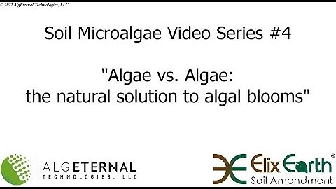 AlgEternal Soil Microalgae Video Series #4: "Algae vs. Algae: the natural solution to algal blooms"