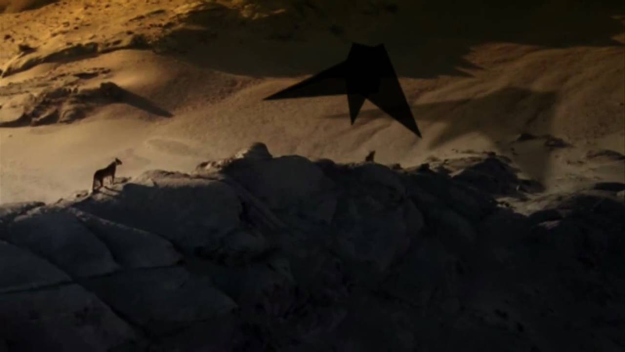 SHOUT 02/10/09 FIRECLATH