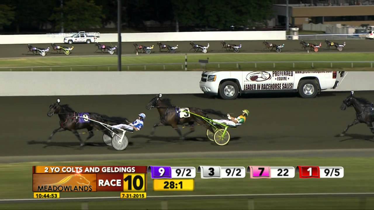 Meadowlands July 31, 2015 Race 10 Michael's Victory YouTube