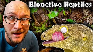 The Newest Reptile Trend | The 5 BEST Reptiles For BIOACTIVE Enclosures!
