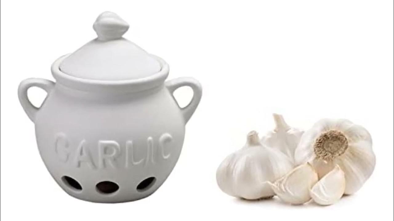 Top 5 Best Garlic Keeper Reviews in 2023 YouTube
