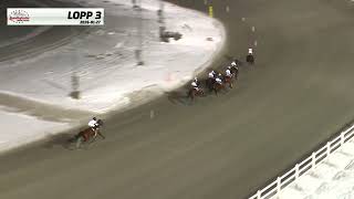 Vidéo de la course PMU MONTELOPP