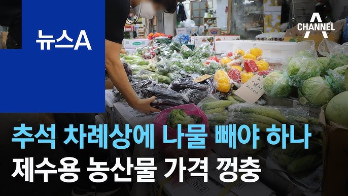 해외 파병 부대원들의 활동 모습