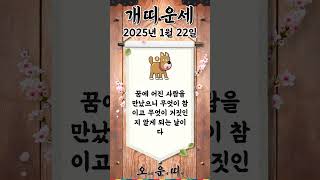오늘의 개띠 운세 2025년 1월 22일 #개띠 #오늘의운세 #내일의운세 #운세 #운세쇼츠