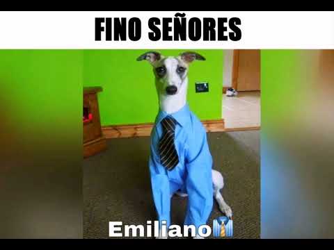 FINO SEÑORES 🧐🎩🍷, Fino Señores /🗿 Moai Head Emoji and 🍷 Wine Glass  Emoji