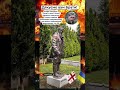 🙏 Пам’ятник українському герою в Тбілісі 🇬🇪🇺🇦 #герої #україна