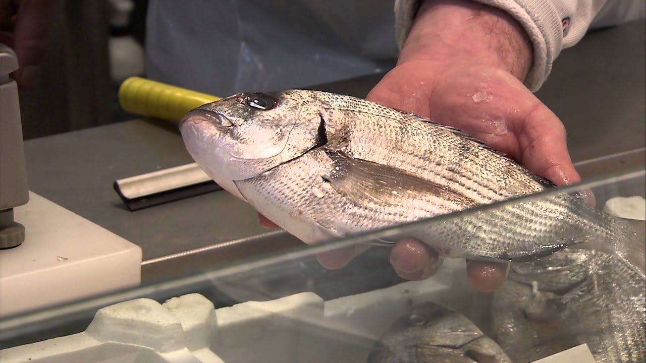 Guide to buying and cooking fresh seafood in Florence YouTube