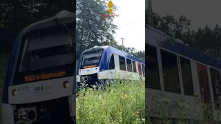 Mitten Im Grünen Brb Lint Auf Der Ammerseebahn