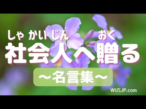 好好學日文 名言系列 給出社會的人的名言 社会人へ贈る名言集 Youtube