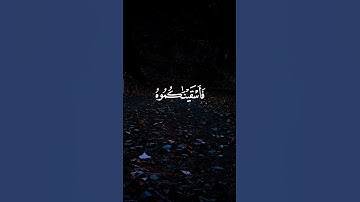القارئ • ياسر الدوسري #قرآن #اكسبلور #المصحف #إستمع