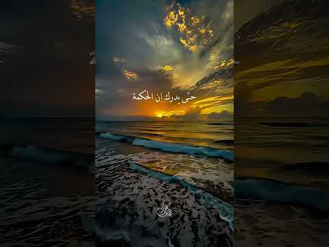 الحكمة في فهم الحياة     