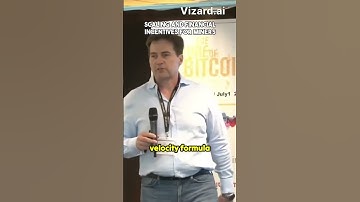 Craig Wright: Scaling and Financial Incentives for Miners (2017)