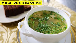 видео: Уха из окуня. На утро застывает как холодец. картинка: Уха из окуня. На утро застывает как холодец.