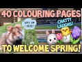 HELLO SPRING! 40 Perfect Pages to Welcome Spring in Adult Colouring!
