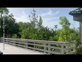 Tips for a first-time visit to Everglades National Park