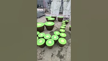 Xưởng Sản Xuất Nội Thất Composite Bàn Ghế Hình Trái Cây Giá Tốt