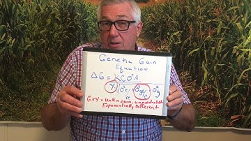 Genotype x Environment Interaction - what it looks like and how does the breeder overcome it