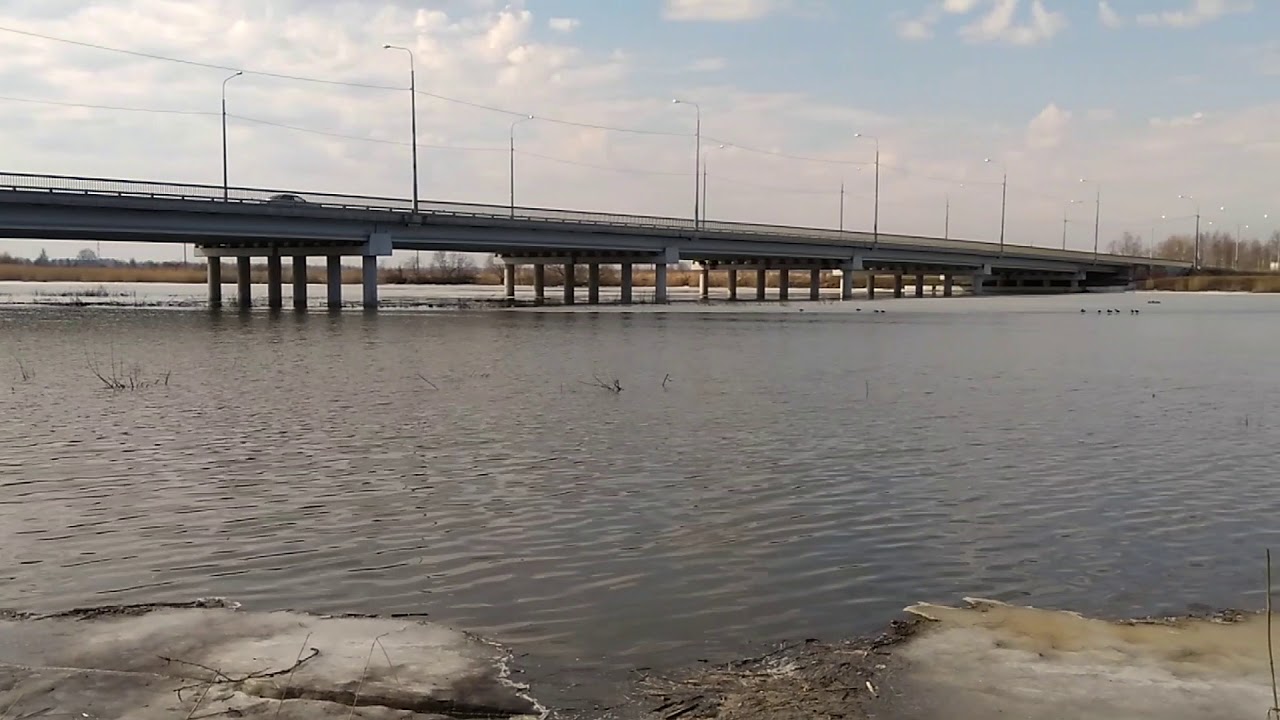 Оджи ока колпино