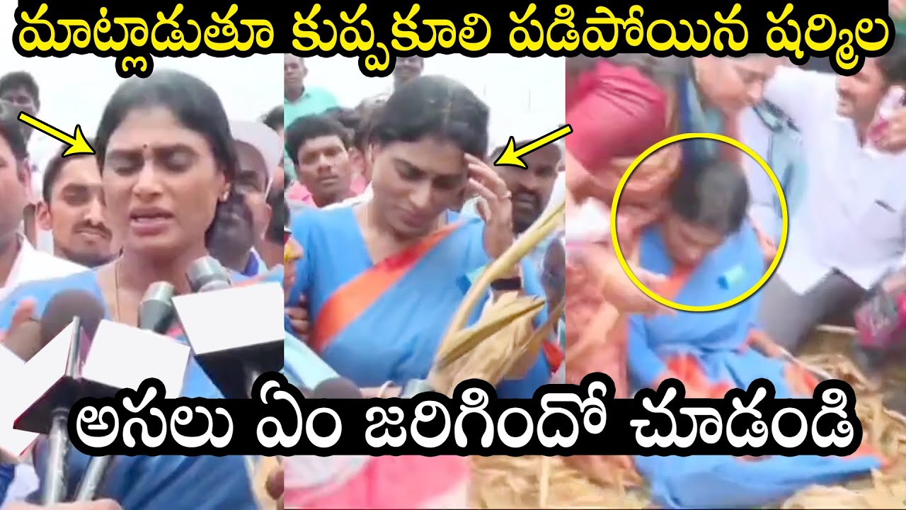 Shar Mulla R కుప్పకూలిన షర్మిల YS Sharmila Fell Unconscious At Press Meet | Sharmila ...