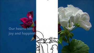 Third Sunday of Advent - JOY