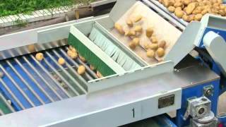 potato sorting machine, potato grading machine