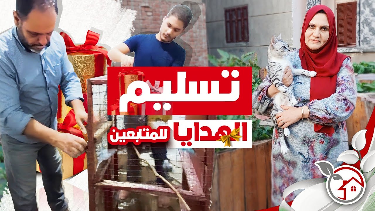 اسباب موت الطيور و تسليم هدايا المتابعين وسر اختفاء القط سمسم