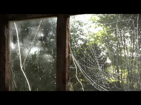 AK & Liam Thomas - Morgentau