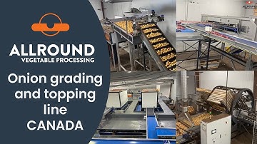 Onion grading and topping line | VEG | Canada  | Allround Vegetable Processing