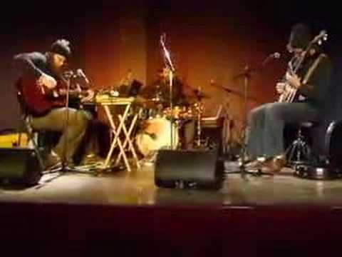 Megafaun