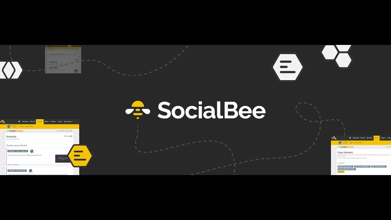 Lifetime Access to SocialBee Accelerate Plan for $49 (Feb 2018) | Appsumo Deals Review