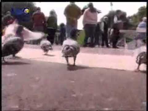 يا أرض احفظي ما عليكي والباش طالع قمر