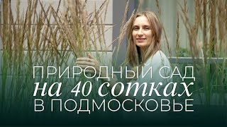 картинка: Ландшафтный дизайн на 40 сотках в Подмосковье
