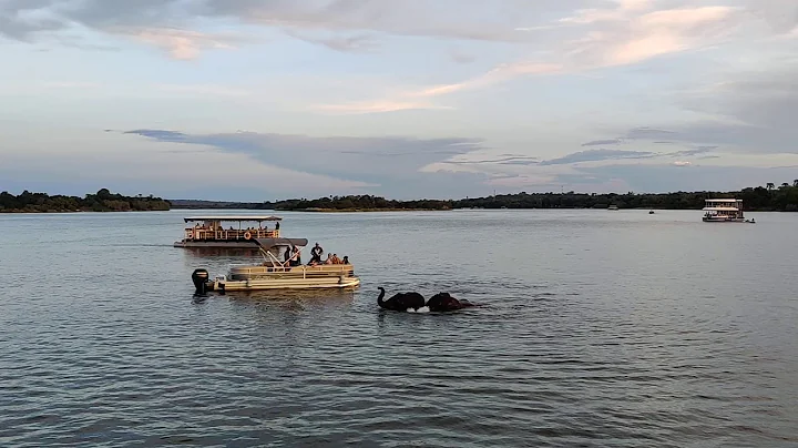 Elephants crossing the Zambezi river