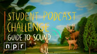 Hunting For Sound | Student Podcast Challenge Guide To Sound | NPR