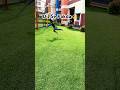 Amazing Catches! Catches in cricket! Best catch! High Catch! #parth42 #shorts #youtubeshorts #catch