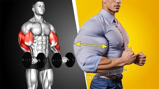 Best Biceps and Triceps Workout at Gym