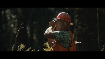 Wood is Good: How Sustainable Forestry Powers Our Future 🌲🏠 #WoodWorld Intro Film powered by Koval