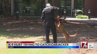 Man steals truck at gunpoint; hits Cary police K-9 during chase, officers say