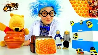 Как пчелы делают мед? Познавательное видео и прикольные стихи для детей(Сегодня Профессор нам расскажет много интересного про мед: - как пчелы делают такую вкуснятину: - едят ли..., 2016-03-18T02:13:51.000Z)