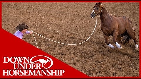 Clinton Anderson: Why Use a 14-Foot Lead Rope - Downunder Horsemanship