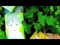 こうぶんこうぞう 2012年個展「プチヴィーの森」cozo_cobun cocoart★Petites vie Art exhibition